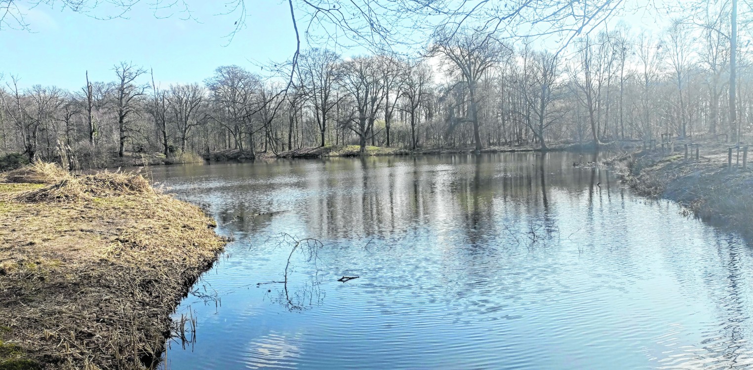 Lochem krijgt haar eigen Camino