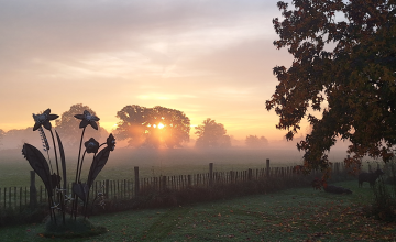 Workshops & optreden Marian Wichers tijdens Open Herfsttuin in Harfsen