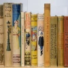 Kinder- en Jeugdboekenmarkt in het Stadshuus Lochem
