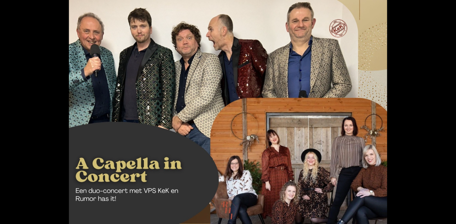 Meerstemmige magie in de Gudulakerk: duo acapellaconcert op 18 april