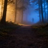 Nacht van de Nacht in Almen