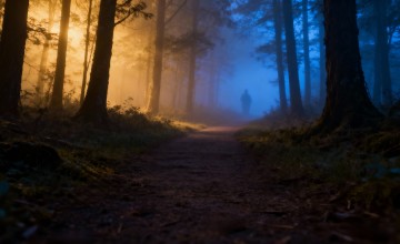 Nacht van de Nacht in Almen
