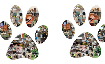 Winnaars Dierendag foto actie bekend
