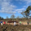 Tweede werk-ochtend op de Gorsselse Heide