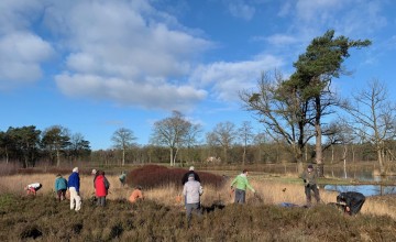 Tweede werk-ochtend op de Gorsselse Heide