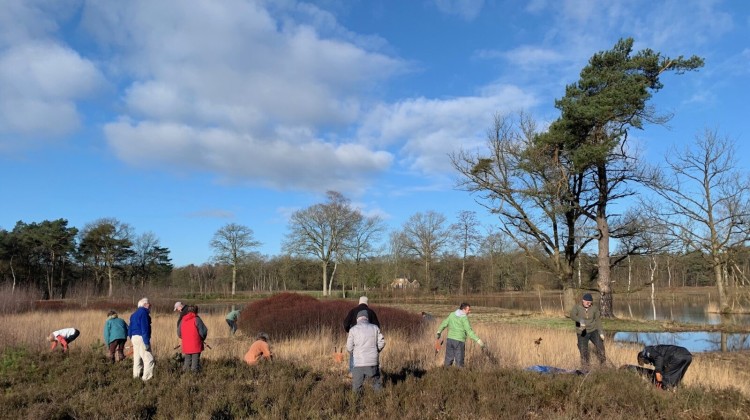 Tweede werk-ochtend op de Gorsselse Heide