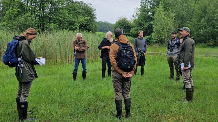 Hoopvolle natuurresultaten op landgoed Velhorst