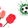 Bloembollenactie voor de jeugd van SV Harfsen