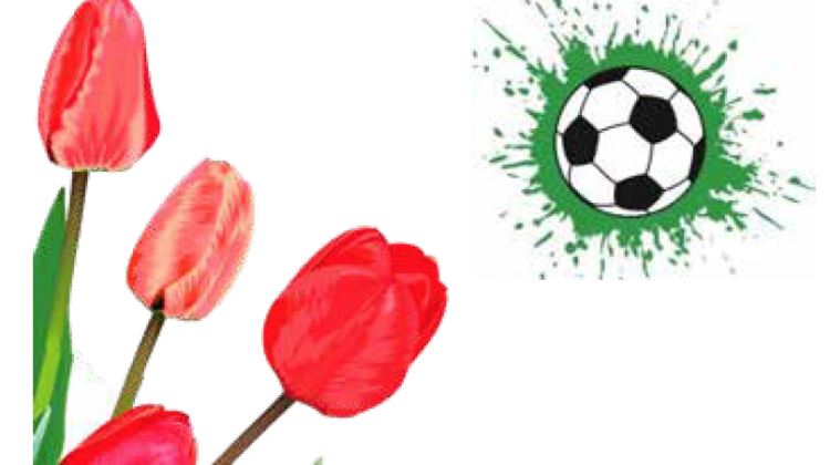 Bloembollenactie voor de jeugd van SV Harfsen