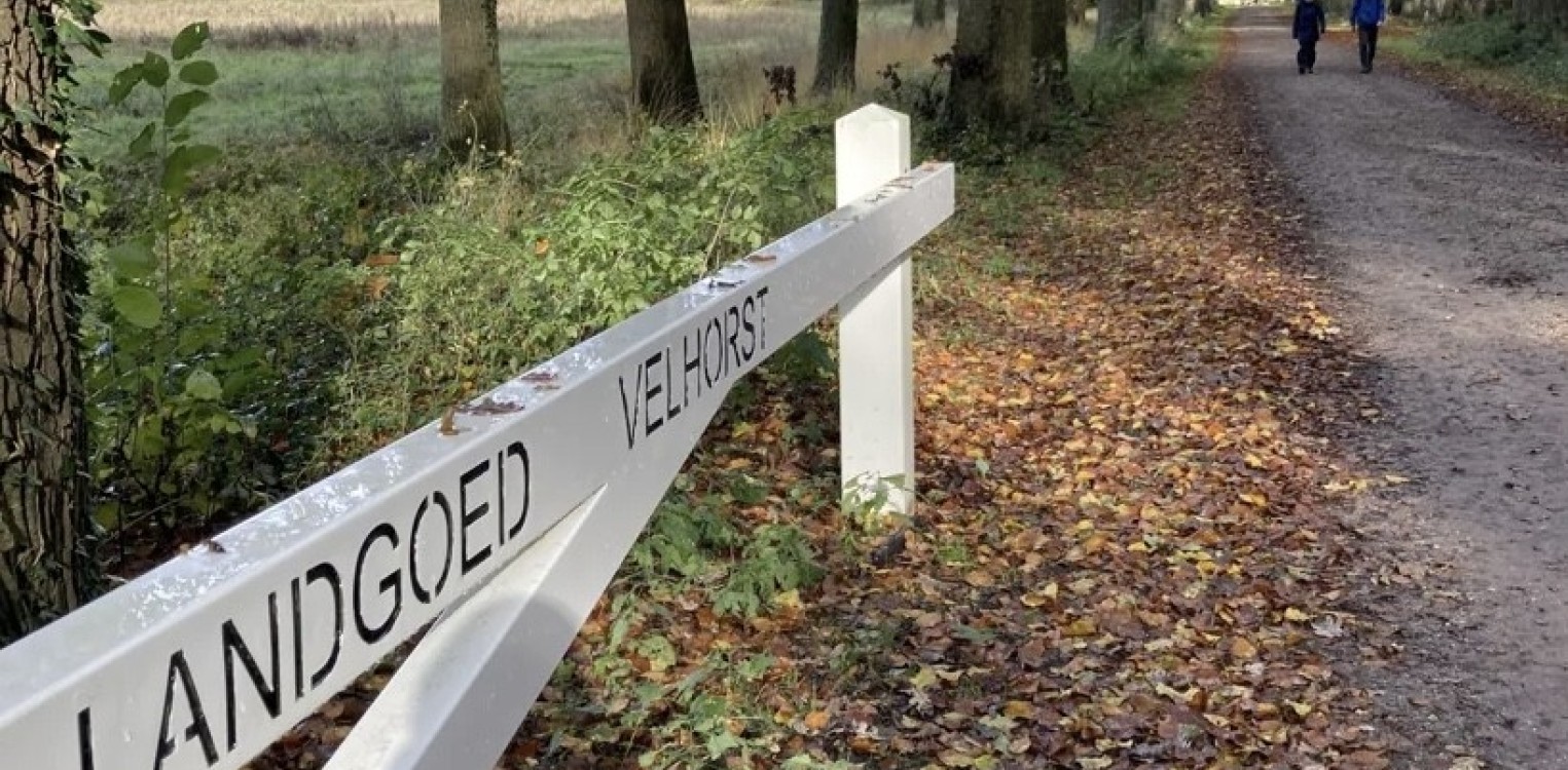 Herfstwandeling op landgoed Velhorst