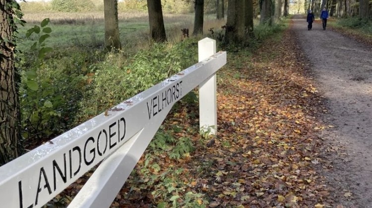 Herfstwandeling op landgoed Velhorst