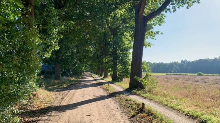 Opinie: Voor wie bouwen we in Gorssel?