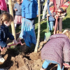 Vocaal Almen viert jubileum met een lindeboom op Nationale Boomfeestdag