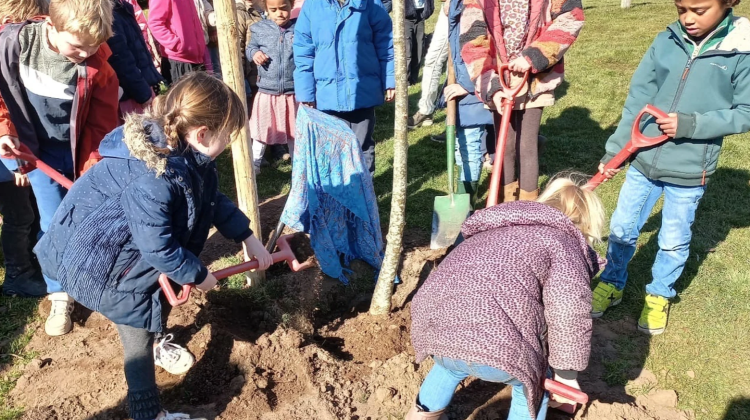 Vocaal Almen viert jubileum met een lindeboom op Nationale Boomfeestdag