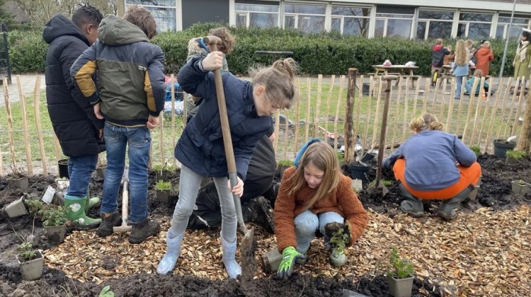 Kinderen van de Bargeweide planten hun eigen Voedselbosje
