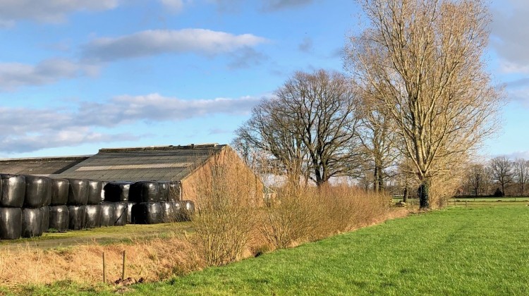 Buitenwerkmiddag bij boerderij Nieuw Markvoort op dinsdag 19 maart