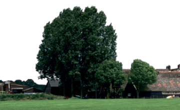 Loeren bij vijf Eefse Boeren