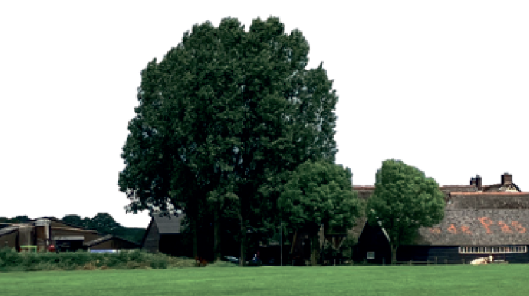 Loeren bij vijf Eefse Boeren