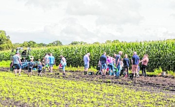 Aardappels rapen bij  Boerderijwinkel Woestenenk