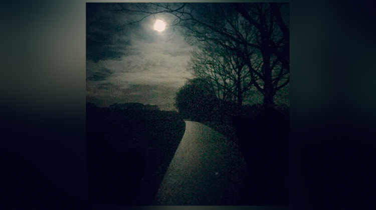 Henk Muileman wint fotowedstrijd De Nacht van de Nacht