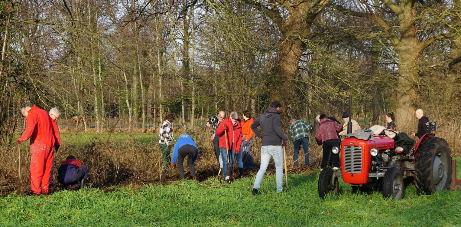 Honderden jonge bomen geplant in buitengebied Laren