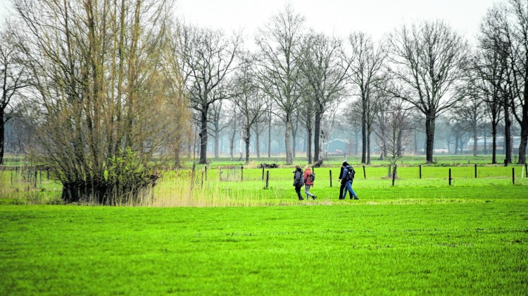 Plattelandswandeling Laren laatste zondag van maart