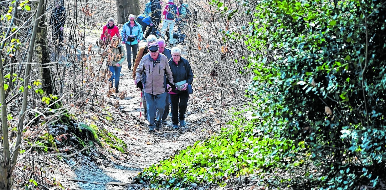 Wandelsportvereniging DOS  Barchem wandelt richting jubileumjaar
