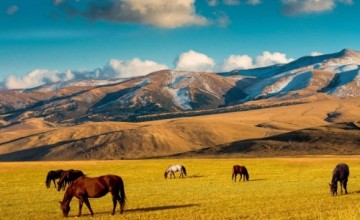 Rita Koeslag vertelt over Kazachstan in AKKU Eetcafé