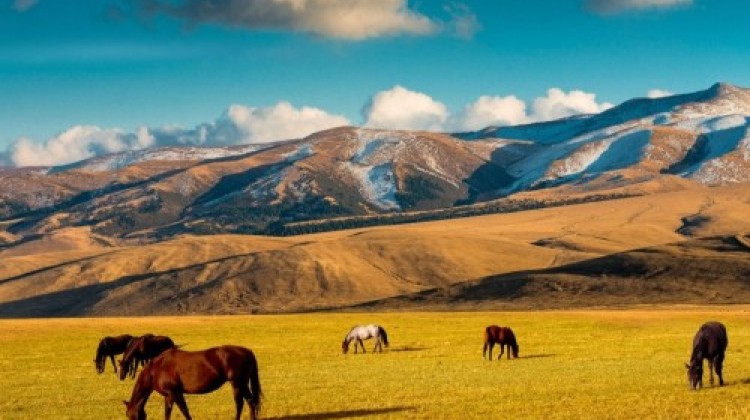 Rita Koeslag vertelt over Kazachstan in AKKU Eetcafé