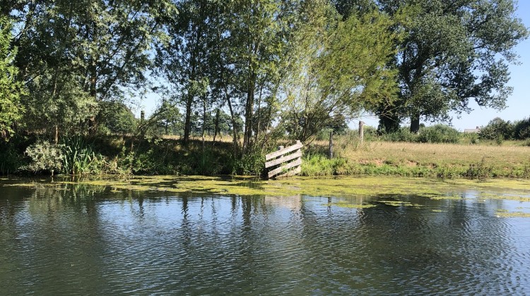 Waterkracht in de Berkel krijgt tweede kans dankzij innovatieve turbine