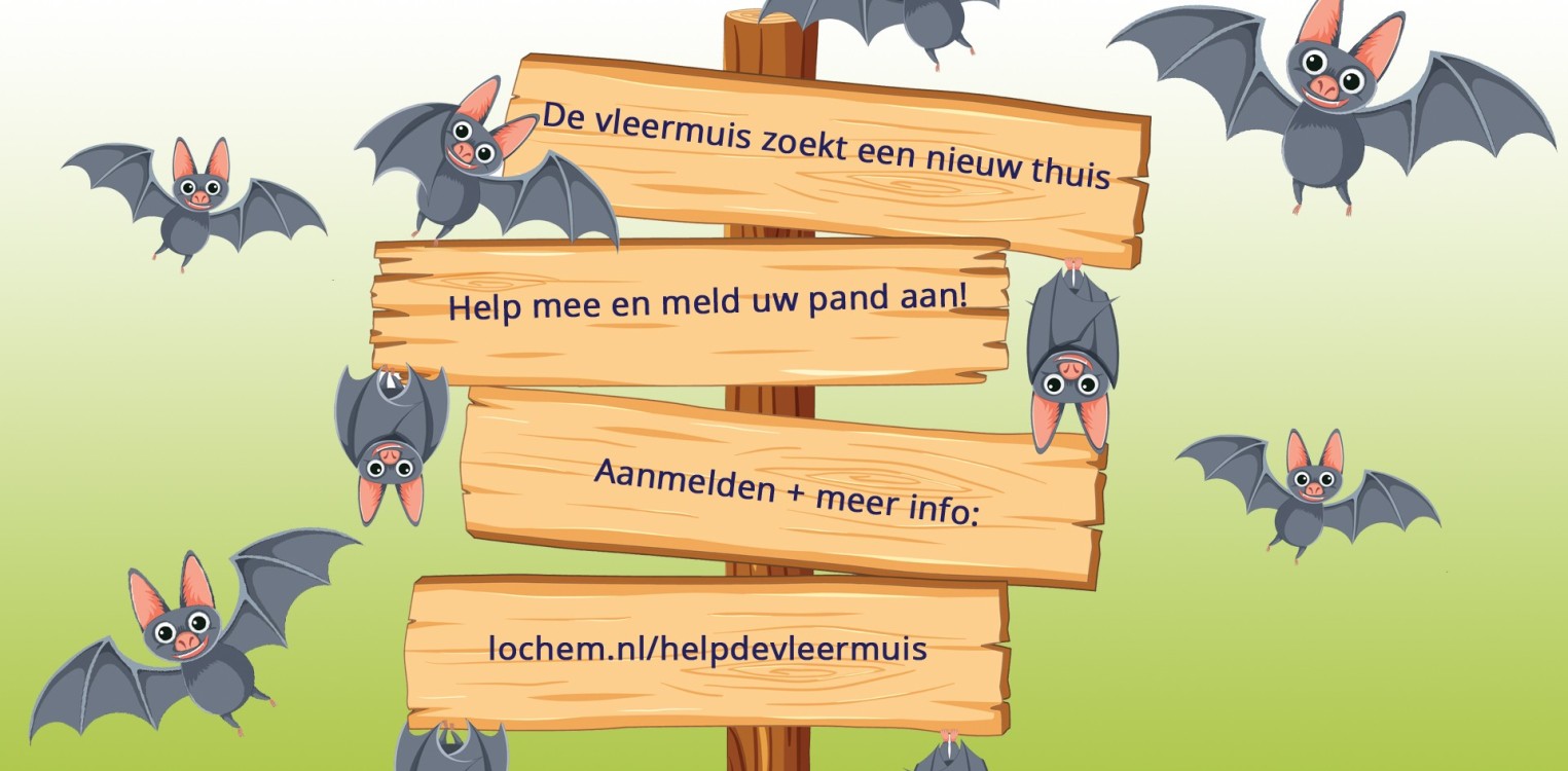 Geef de vleermuis een nieuw thuis