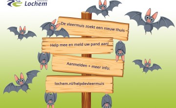 Geef de vleermuis een nieuw thuis