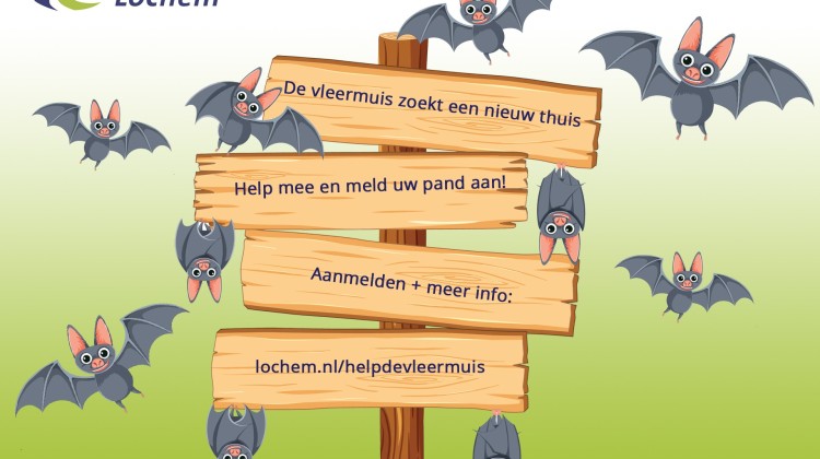 Geef de vleermuis een nieuw thuis