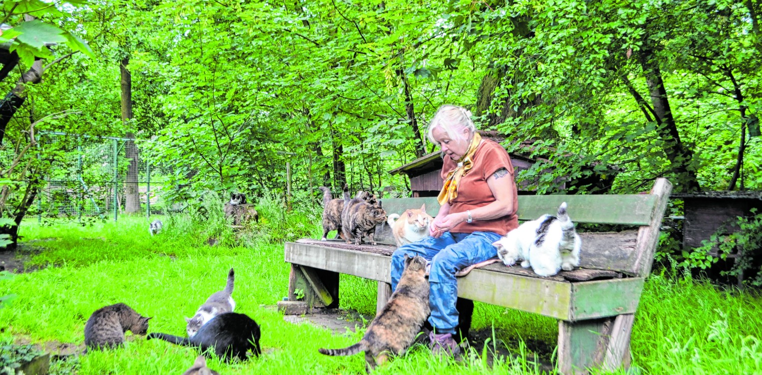 Het imago van 'oude kattenvrouw'? Dat past Yvette Bakker totaal niet