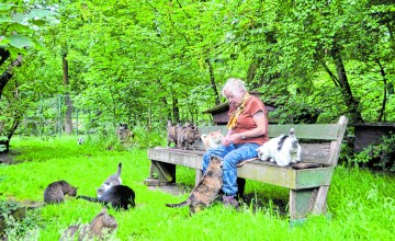Het imago van 'oude kattenvrouw'? Dat past Yvette Bakker totaal niet