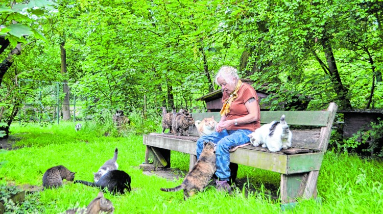 Het imago van 'oude kattenvrouw'? Dat past Yvette Bakker totaal niet