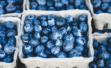 Waarom je elke dag blauwe bessen zou moeten eten