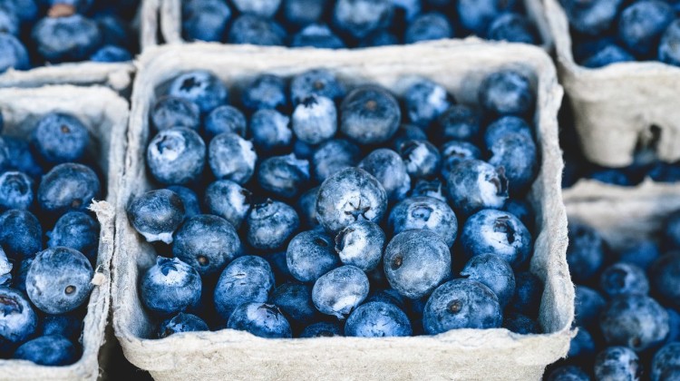 Waarom je elke dag blauwe bessen zou moeten eten