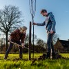 Maak het buitengebied van Nettelhorst en Kulsdom nog mooier