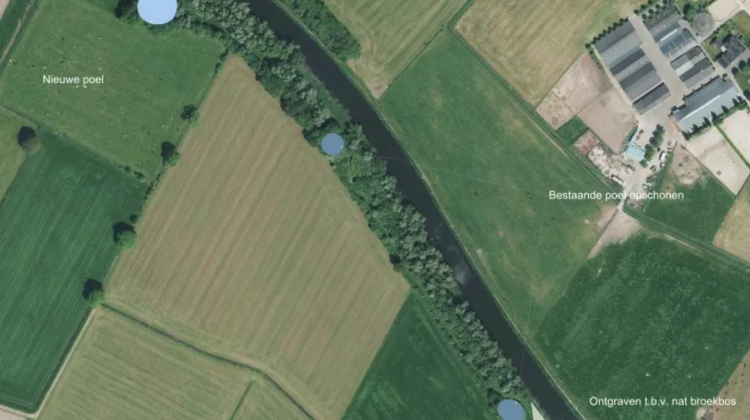 Deelgebied 'Schuppert'
