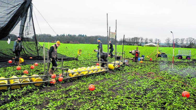 Carbid Festival Epse