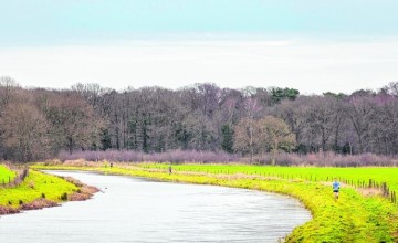 Veel hardlopers langs de berkel in het Almense landschap