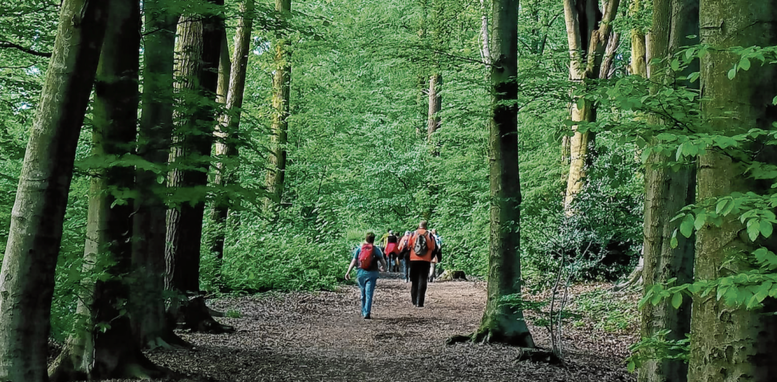 Lochemse Wandel Challenge viert vijfjarig lustrum