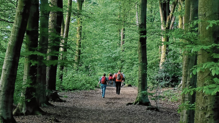 Lochemse Wandel Challenge viert vijfjarig lustrum