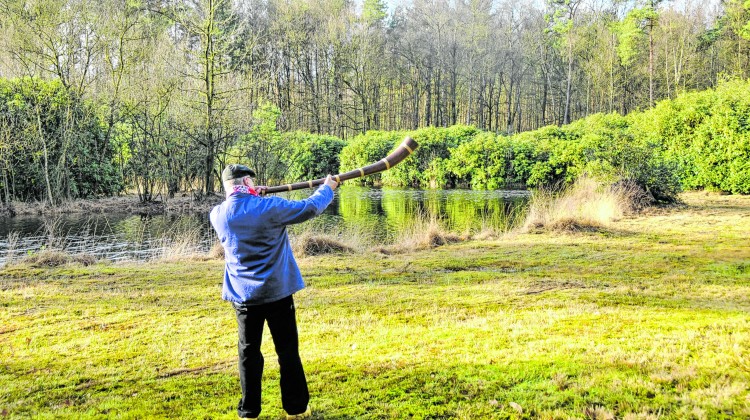 Nieuwe startplek voor midwinterhoornwandeling in Laren