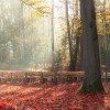 Ontdek natuurbegraven tijdens de Informatiedag van natuurbegraafplaats Schapenmeer