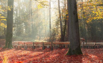 Ontdek natuurbegraven tijdens de Informatiedag van natuurbegraafplaats Schapenmeer