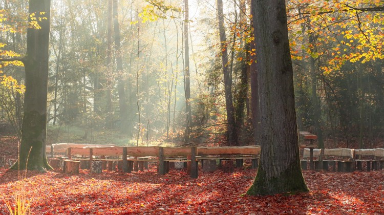 Ontdek natuurbegraven tijdens de Informatiedag van natuurbegraafplaats Schapenmeer