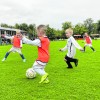 Grote opkomst bij Sterren League Witkampers