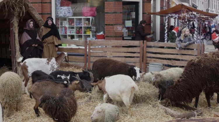 Levende kerststal bij Gudula